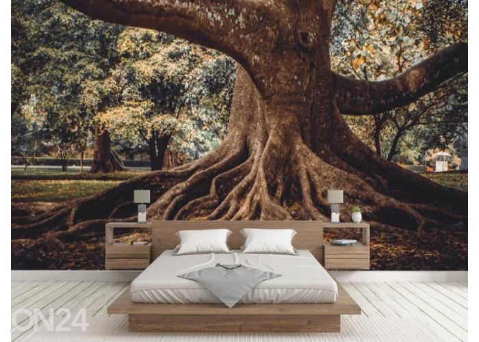 Флизелиновые фотообои Tree Root 368x254 см увеличить