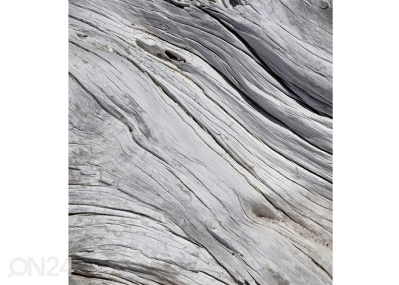 Флизелиновые фотообои Tree texture 150x250 см увеличить