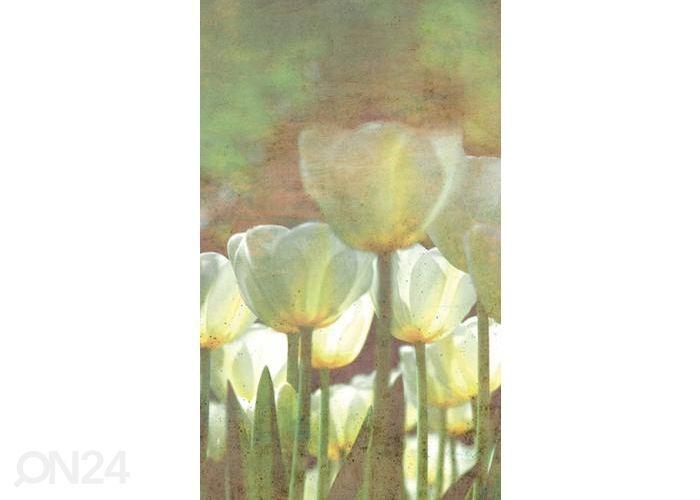 Флизелиновые фотообои White Tulips Abstract 150x250 см увеличить