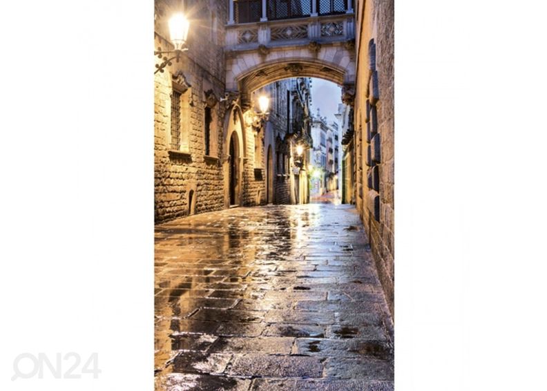 Флисовые обои "Ancient street" 150x250 см увеличить