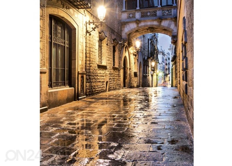 Флисовые обои "Ancient street" 225x250 см увеличить