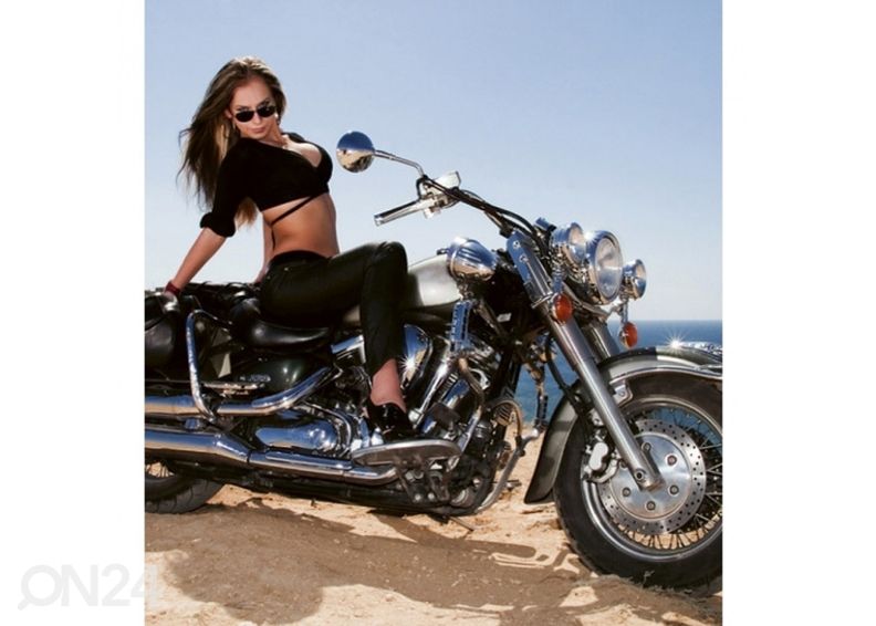 Флисовые обои Motorcycle 225x250 см увеличить