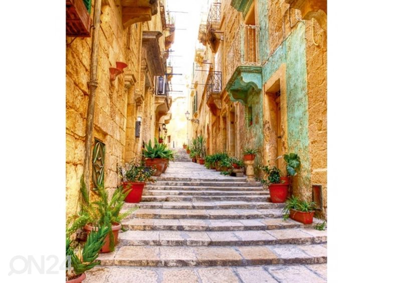 Флисовые обои Narrow street 150x250 см увеличить