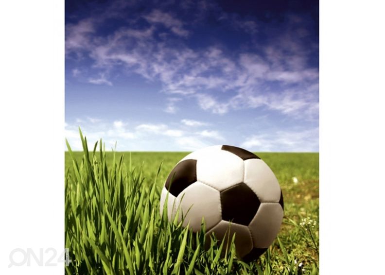 Флисовые обои Soccer ball 150x250 см увеличить