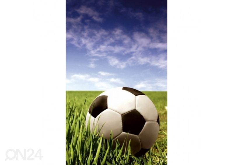 Флисовые обои Soccer ball 150x250 см увеличить