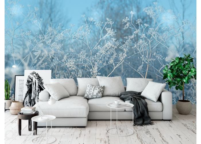 Флисовые фотообои Frosted Umbellate Plants 416x290 см увеличить