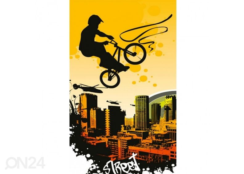 Флисовые фото-обои Bicycle 225x250 см увеличить