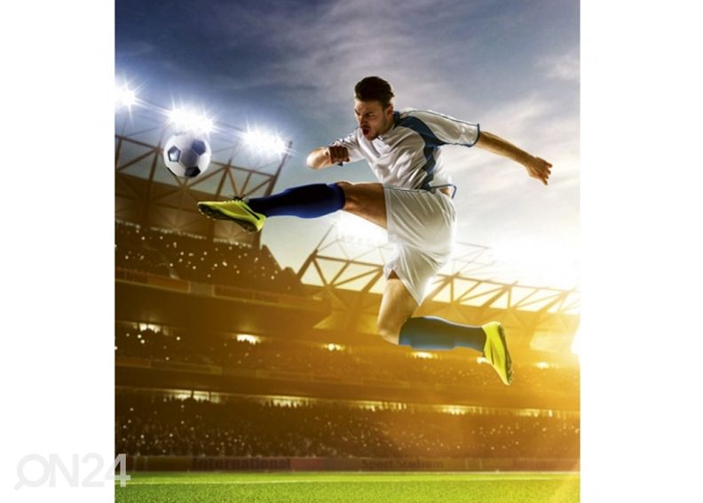 Флисовые фото-обои Soccer player 150x250 см увеличить