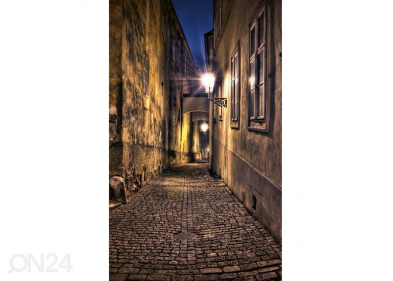 Флисовые фото-обои Street 375x250 см увеличить