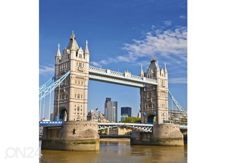 Флисовые фото-обои Tower bridge 225x250 см увеличить