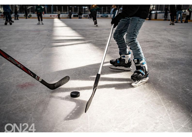 Хоккейная шайба черная Nijdam увеличить