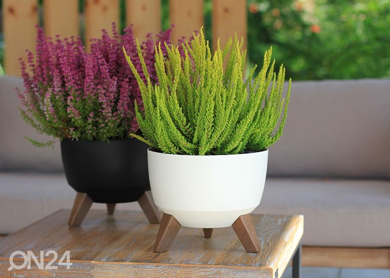 Цветочный горшок/кашпо Roma на ножках Ø 24 см увеличить