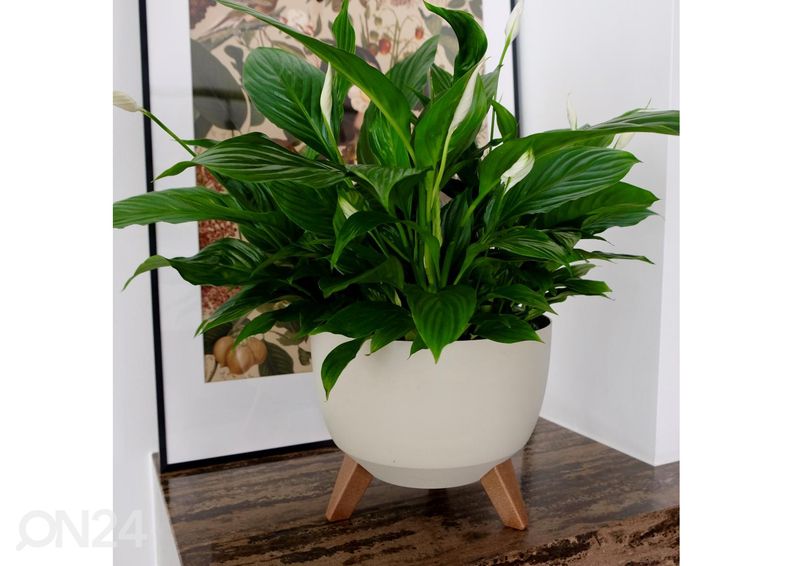 Цветочный горшок/кашпо Roma Legs Ø 29 см увеличить