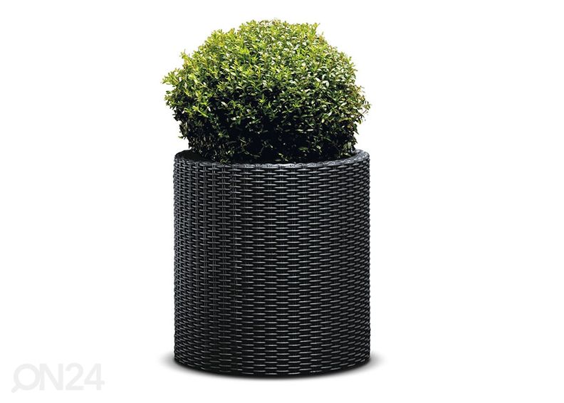 Цветочный горшок Keter Cylinder L увеличить