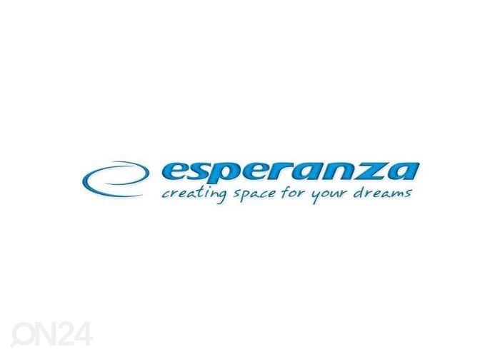 Электрочайник Esperanza EKK113G, зеленый увеличить