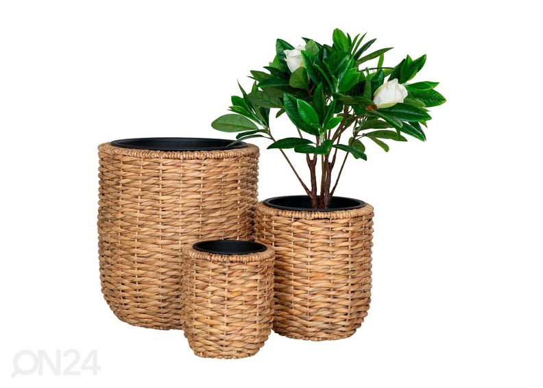 Ящики для цветов Hanoi 3 шт увеличить