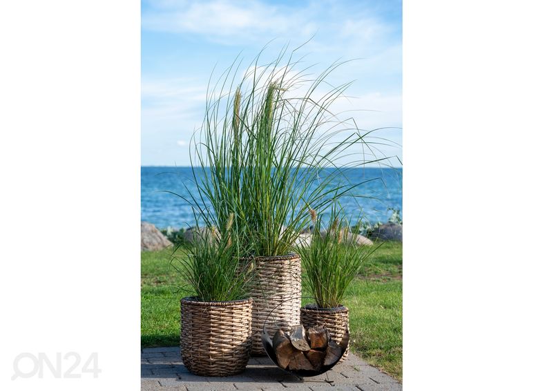 Ящики для цветов Hanoi 3 шт увеличить