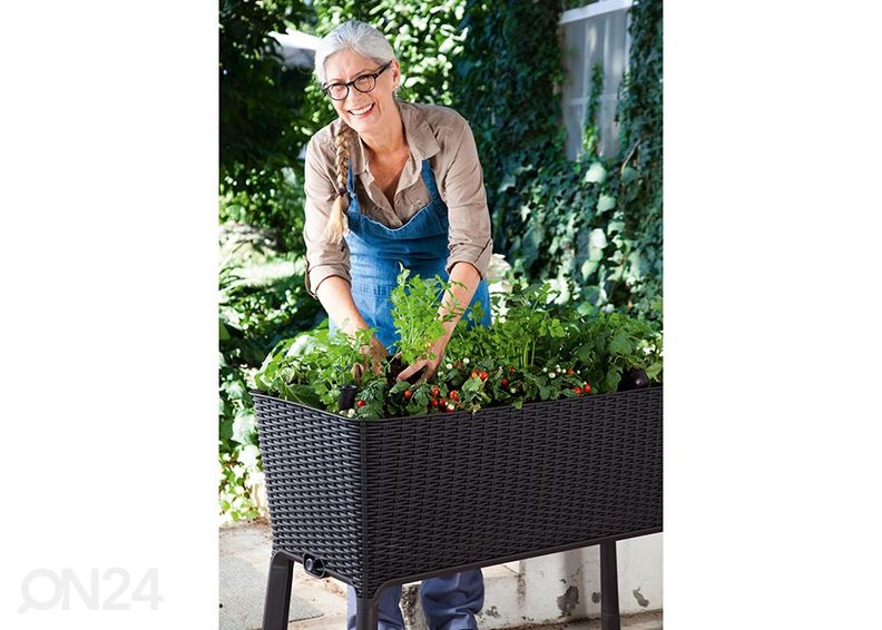 Ящик для растений Keter Easy Grow 114x49x76 см, антрацит увеличить