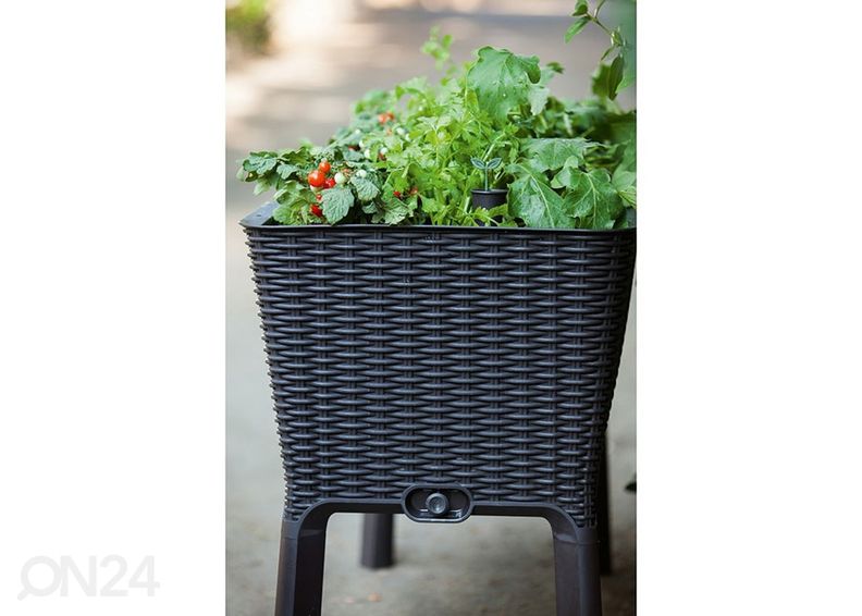 Ящик для растений Keter Easy Grow 114x49x76 см, антрацит увеличить