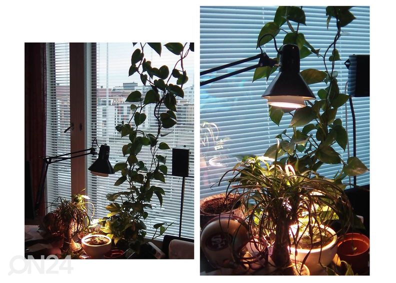 Eglo настольная лампа Firmo увеличить