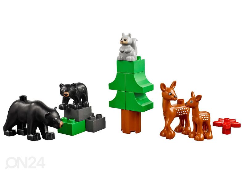 LEGO Education Животные увеличить