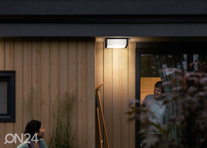 Philips Moonshine потолочный и настенный светильник 2xE27 увеличить