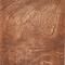 Орех/Walnut