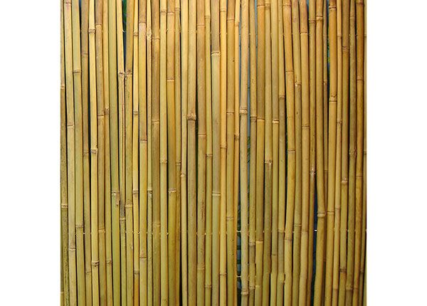 Бамбуковый забор в рулоне 2х3 м