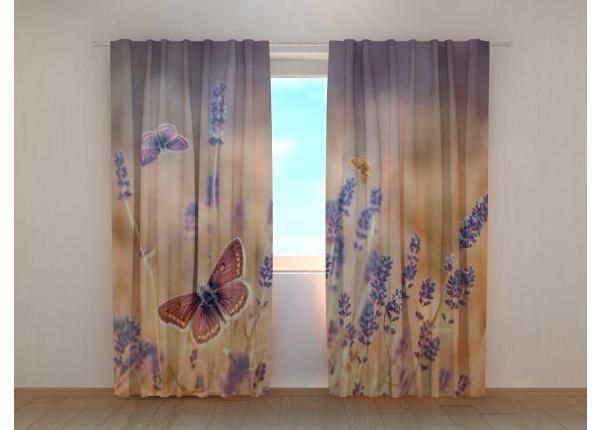 Затемняющая фотоштора Butterflies on Lavender 240x220 см