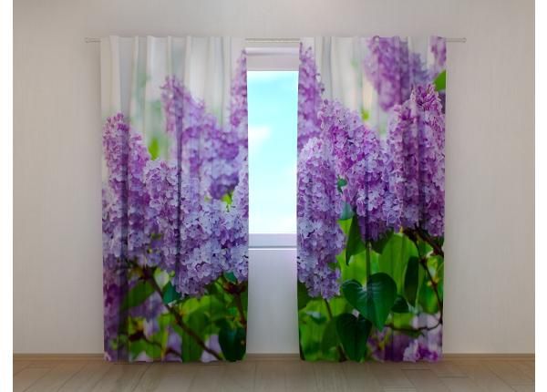Затемняющая фотоштора Garden Lilac 240x220 см