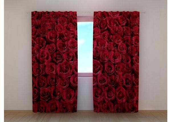 Затемняющая фотоштора Lovely Red Roses 240x220 см