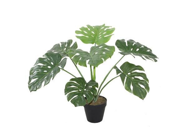 Искусственное растение Monstera 60 см