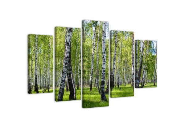 Картина из 5-частей Birch trees 200x100 см