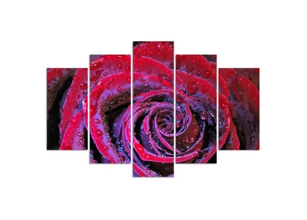 Картина из 5-частей Dew rose 150x100 см