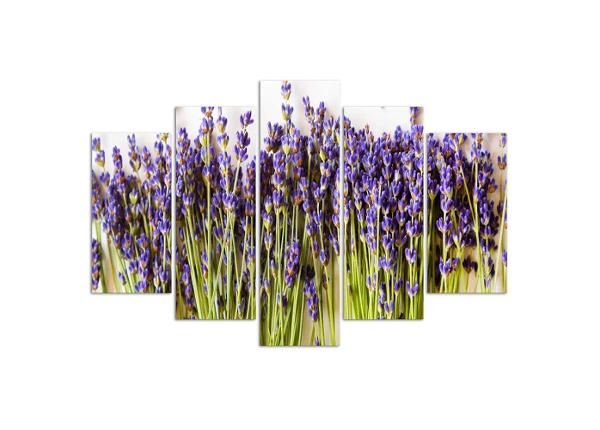 Картина из 5-частей Lavender 100x70 см