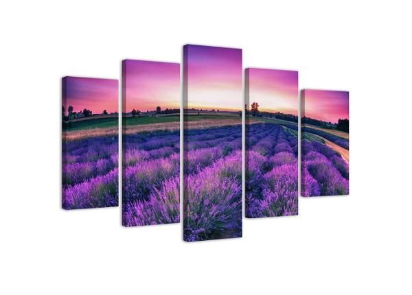 Картина из 5-частей Lavender Field 100x70 см