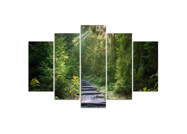 Картина из 5-частей Path in Green Forest 150x100 см