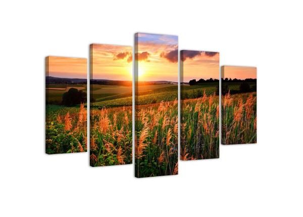 Картина из 5-частей Sunset Over the Meadow 150x100 см