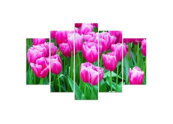 Картина из 5-частей White and Red Tulips 200x100 см