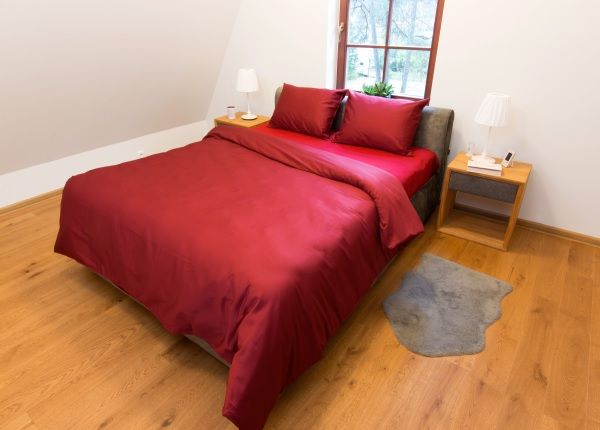 Комплект постельного белья Red 180x210 см