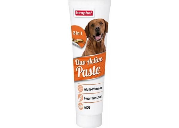 Кормовая добавка Beaphar Duo Active Paste Dog 100 г