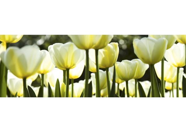 Кухонный ковер White tulips 180x60 см