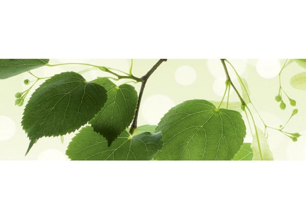 Кухонный фартук Green leaves 180x60 см