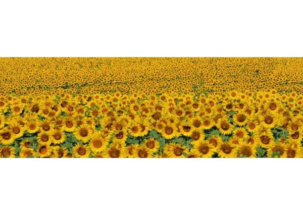 Кухонный фартук Sunflowers 180x60 см