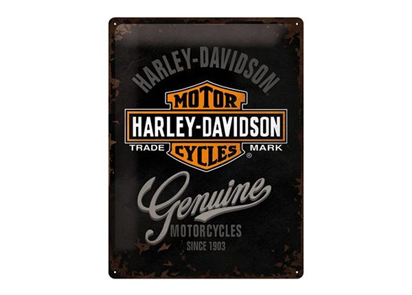 Металлический постер в ретро-стиле Harley-Davidson Genuine logo 30x40 см