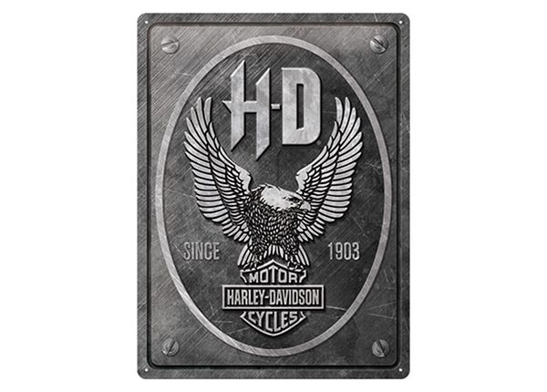 Металлический постер в ретро-стиле Harley-Davidson - Metal Eagle 30x40 см