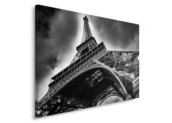 Настенная картина Eiffel Tower 40x50 см