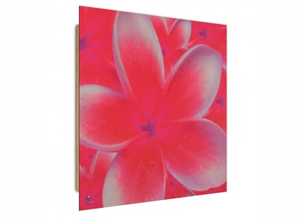 Настенная картина Frangipani flower 2 3D 30x30 см