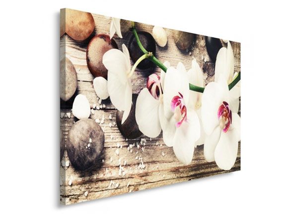Настенная картина Orchid 50x70 см