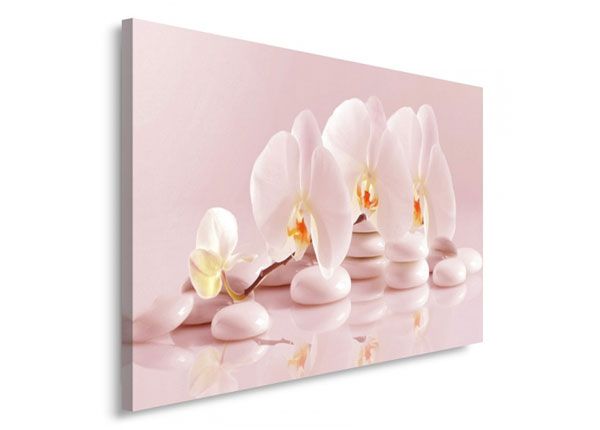 Настенная картина Orchid 60x80 см